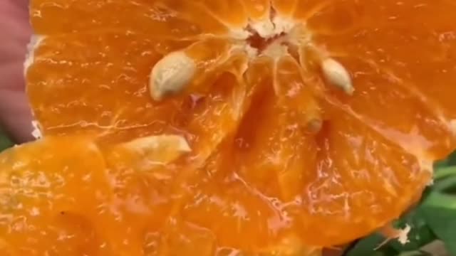 Fruits Video Farm Fresh Ninja Fruit Cutting Satisfying Fruit | Amazing Fruits Video #fruits #short