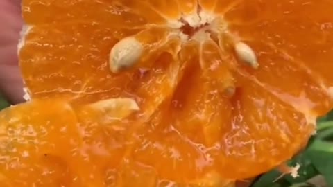 Fruits Video Farm Fresh Ninja Fruit Cutting Satisfying Fruit | Amazing Fruits Video #fruits #short