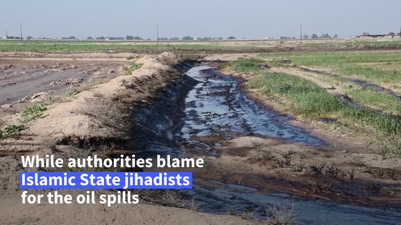 Oil spills ravage farmland in northern iraq