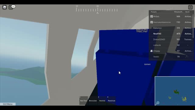 Walking on the Wing Gone Wrong