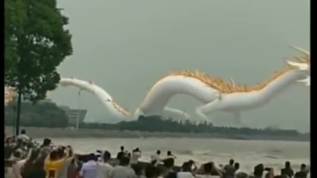 Huge Dragon