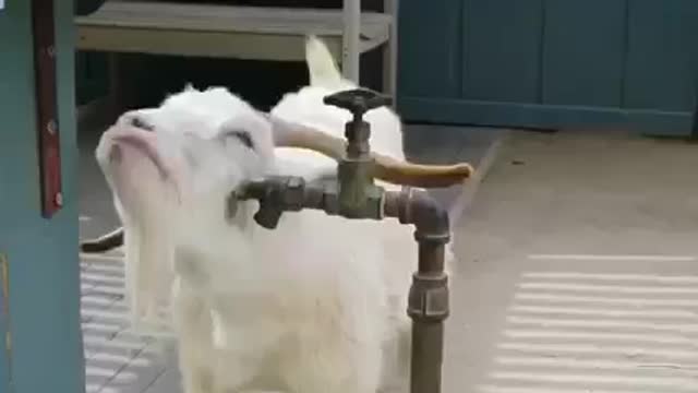So warming