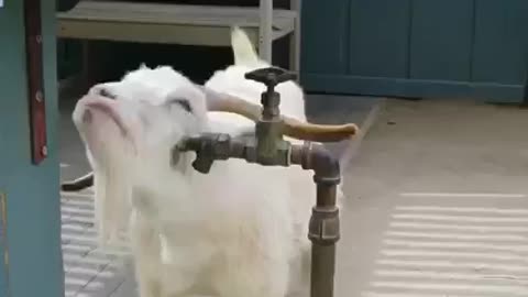 So warming