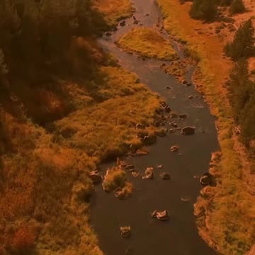 045 In numerology, Life Path 37 slash 1 is all about innovation, independence,