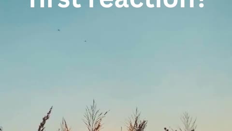 An Awesome Community