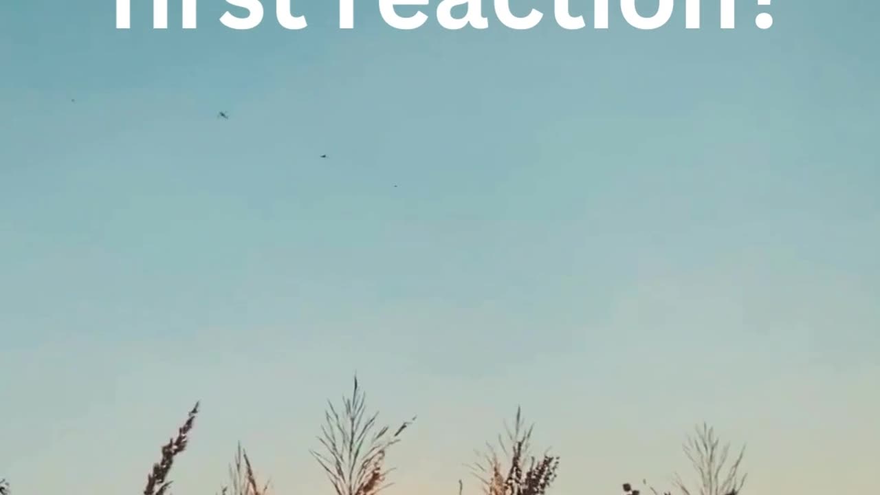 An Awesome Community