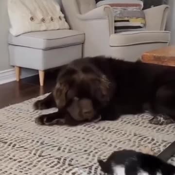 TOO CUTE to not share with you all