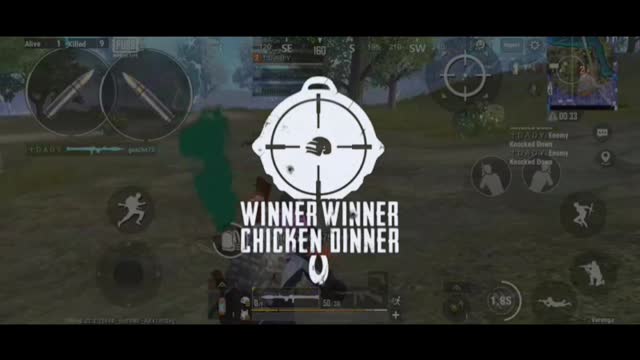 Pubg lite chicken dinner 🥗🥣