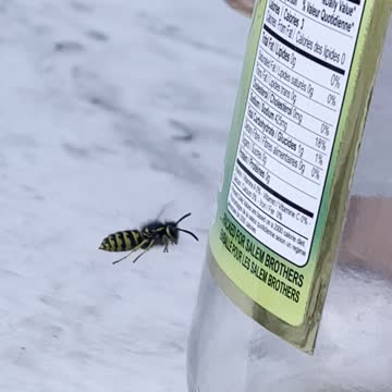 A we approach from beer