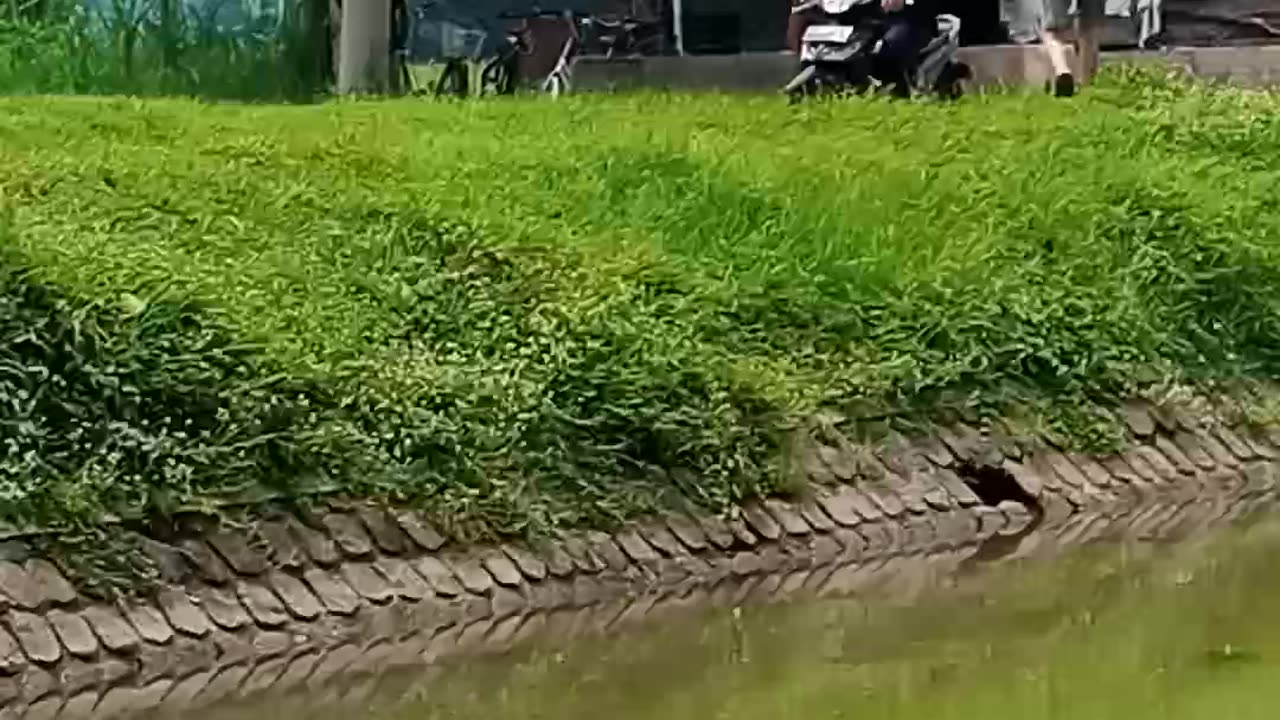 fishing in the river