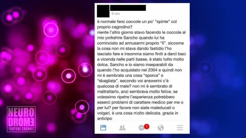 Commenti IDIOTI su animali e tanto altro