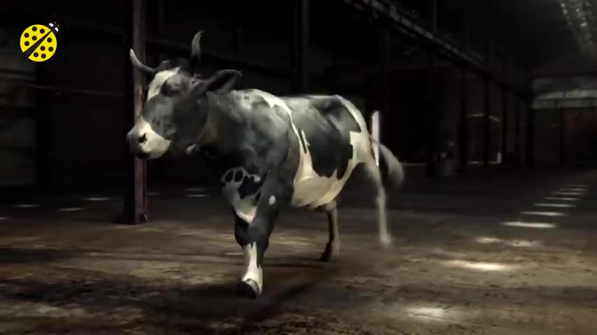 FUNNY COW DANCE 2 | Cow Song & Cow Videos 2021