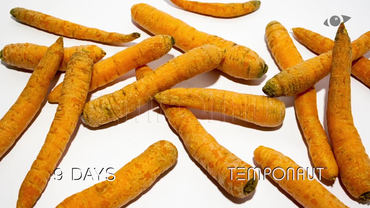 Carrots Timelapse