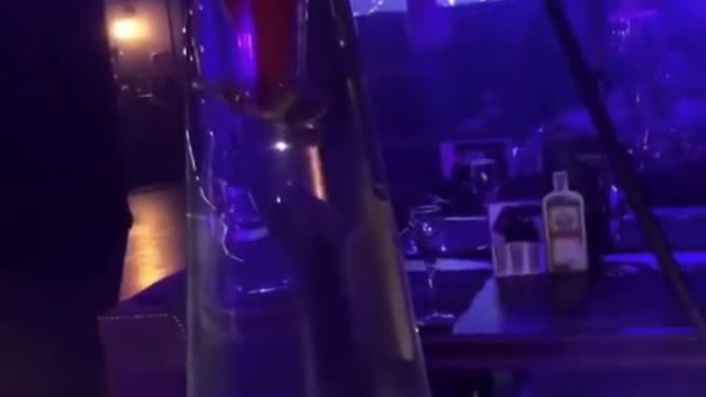 Fury Over Club Serving Glass Hookahs With Live Turtles