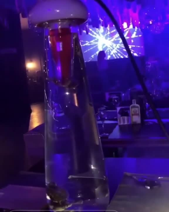 Fury Over Club Serving Glass Hookahs With Live Turtles
