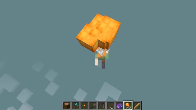 Minecraft vanilla skin version 1.17.1_Shorts_51