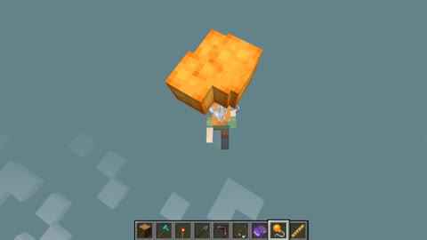 Minecraft vanilla skin version 1.17.1_Shorts_51