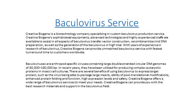 Baculovirus Service