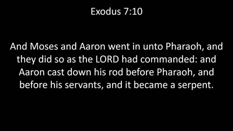 KJV Bible Exodus Chapter 7