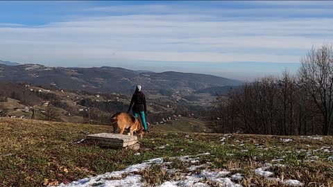 Lovely 🥰 dog 🐶 mountain 🏔 view point videos