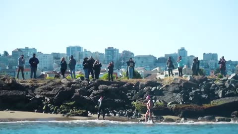 WE ATTEMPTED THE DEADLY SWIM (Alcatraz to San Francisco)