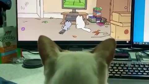 It’s election night here in Oz, so naturally we are glued to the screen