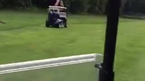 Blue shirt guy surfs on golf cart