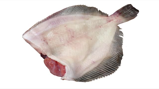 Rock Sole H/G, Lepidopsetta mochigarei, bilineata, Flunder, 冻双线鲽, ヒラメ, Russian Fish