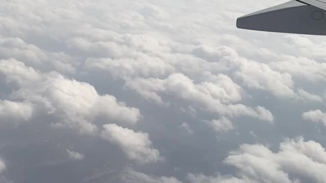 T'way Air Flight