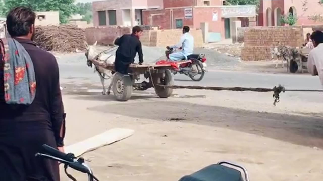 Funny 🤣