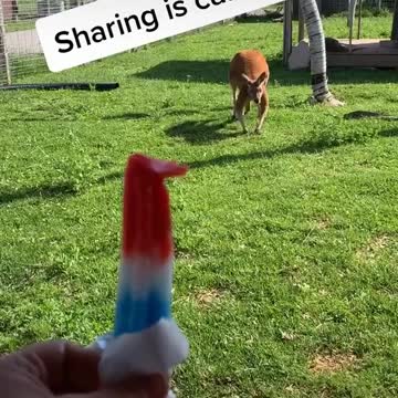 Sharing is caring yum