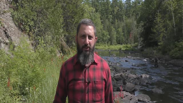 Why Most Christians Are No Longer Militant