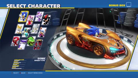 Team Sonic Racing