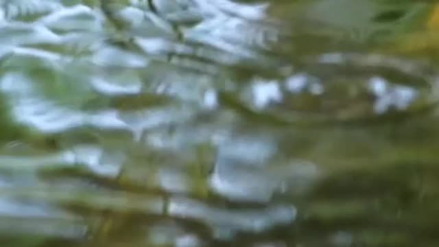 Rain falling on the water of a lake seen up close
