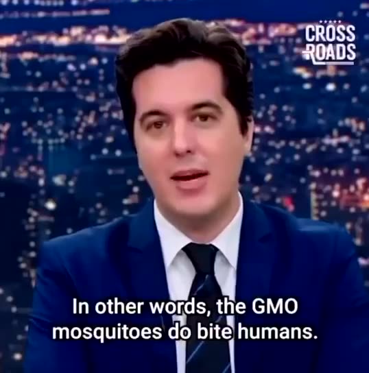WOW Genetically modified mosquitoes