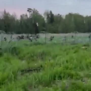 Πολωνοί στρατιώτες πυροβολούν τους λαθροεισβολείς, υπερασπιζόμενοι τα σύνορα της χώρας τους.