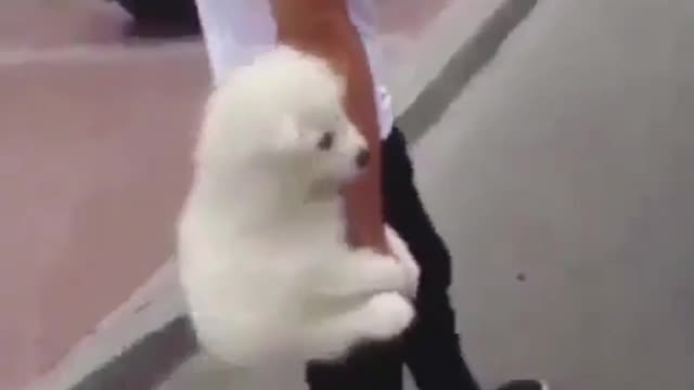 hold my arm, don't let go