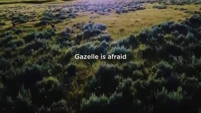 best motivation #3