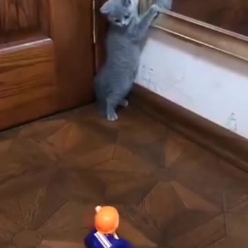 I'm sorry, buddy. 🤣🤣🤣