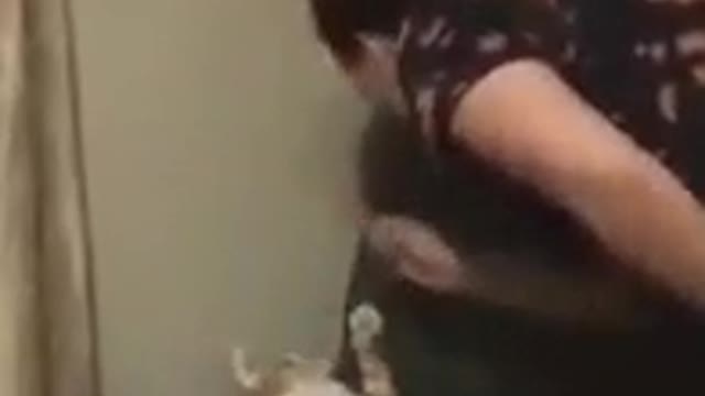 This cat is rioter🤣🤣