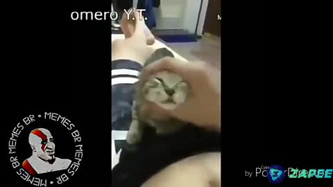 meow funny cat and its owner _mem