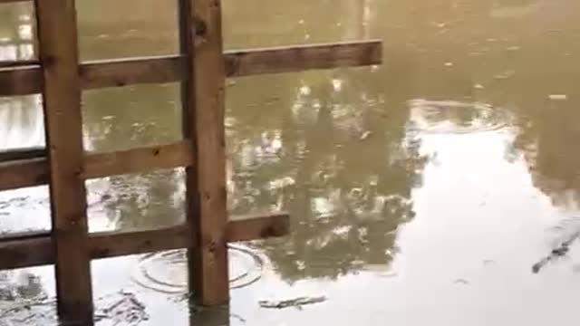 PUB HAD TO SHUTDOWN BECAUSE OF BIG STORM FLOODED THERE PUB