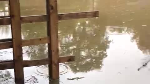 PUB HAD TO SHUTDOWN BECAUSE OF BIG STORM FLOODED THERE PUB