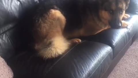 Funny and Cute compilation | Cute compilation. #shorts