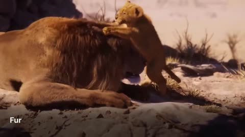 The Gothic Trailer Is Really Powerful