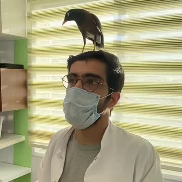 My sweet tongue bird