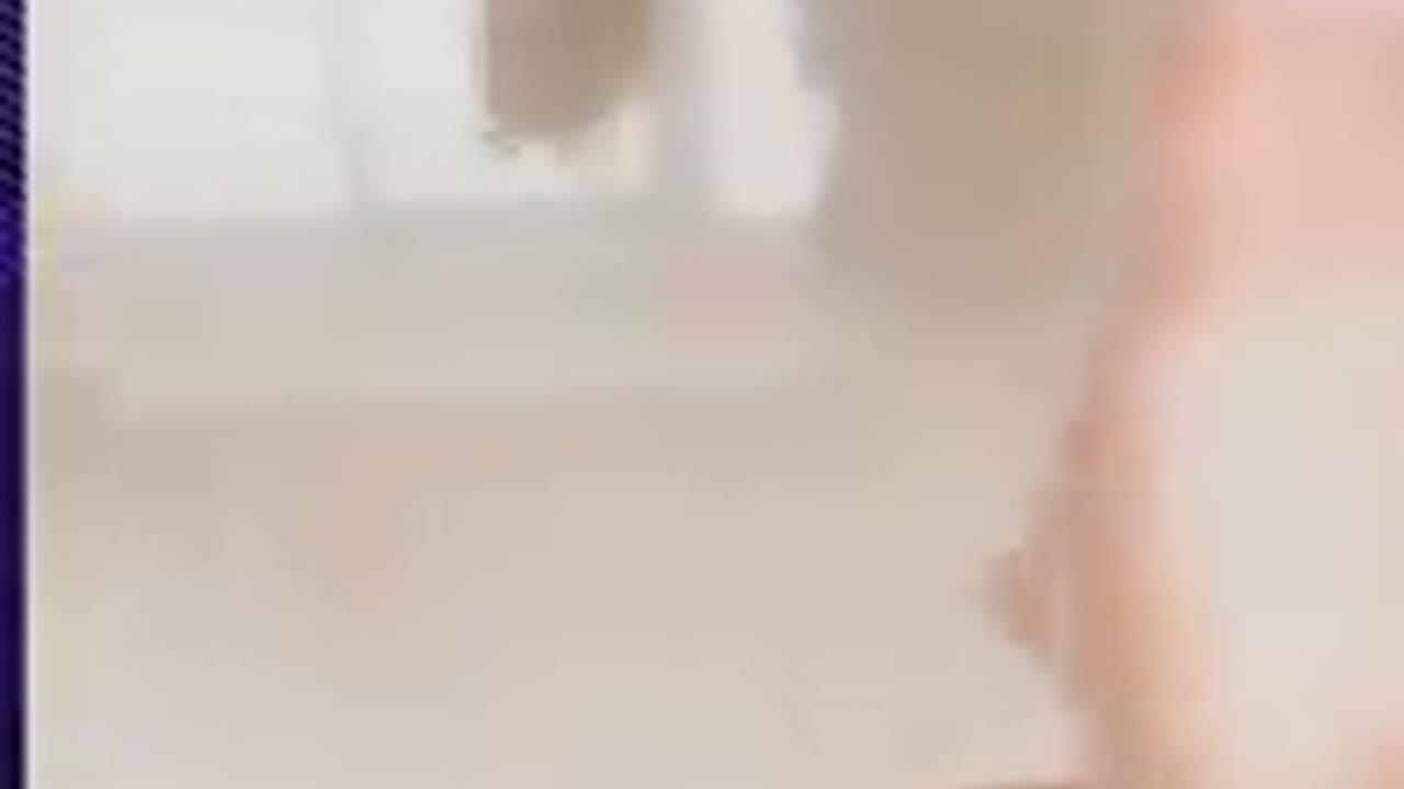 omg funny cat#short
