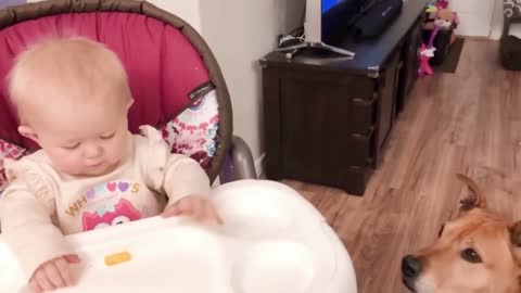 The baby feeds the dog