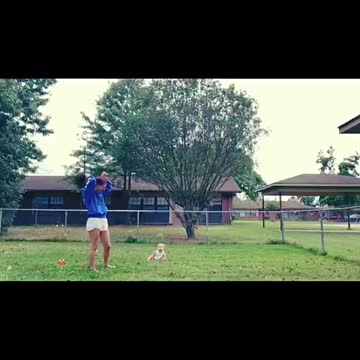Baby laughs at dog playing with a stick