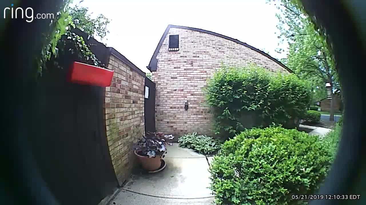 Mail Carrier Pepper Sprays Dog